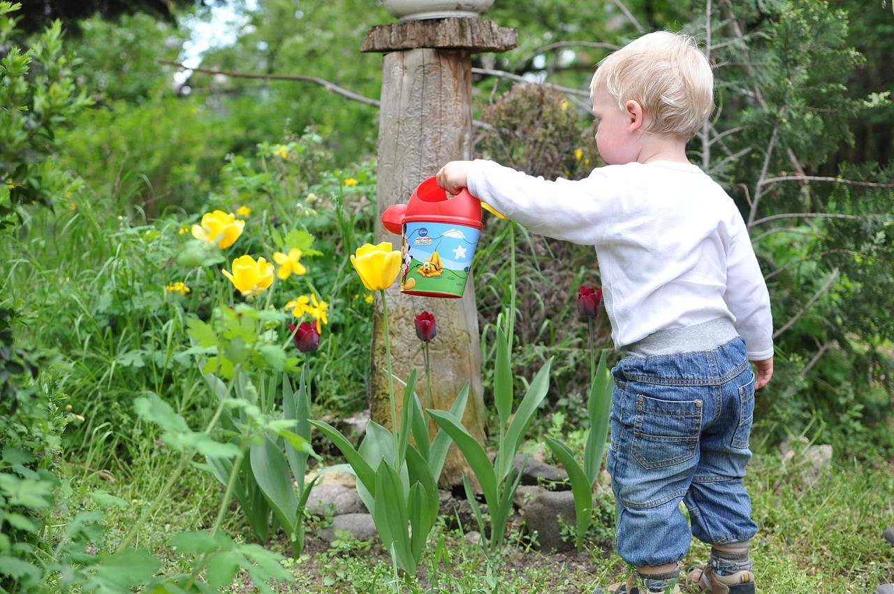Programm Gartenland in Kinderhand