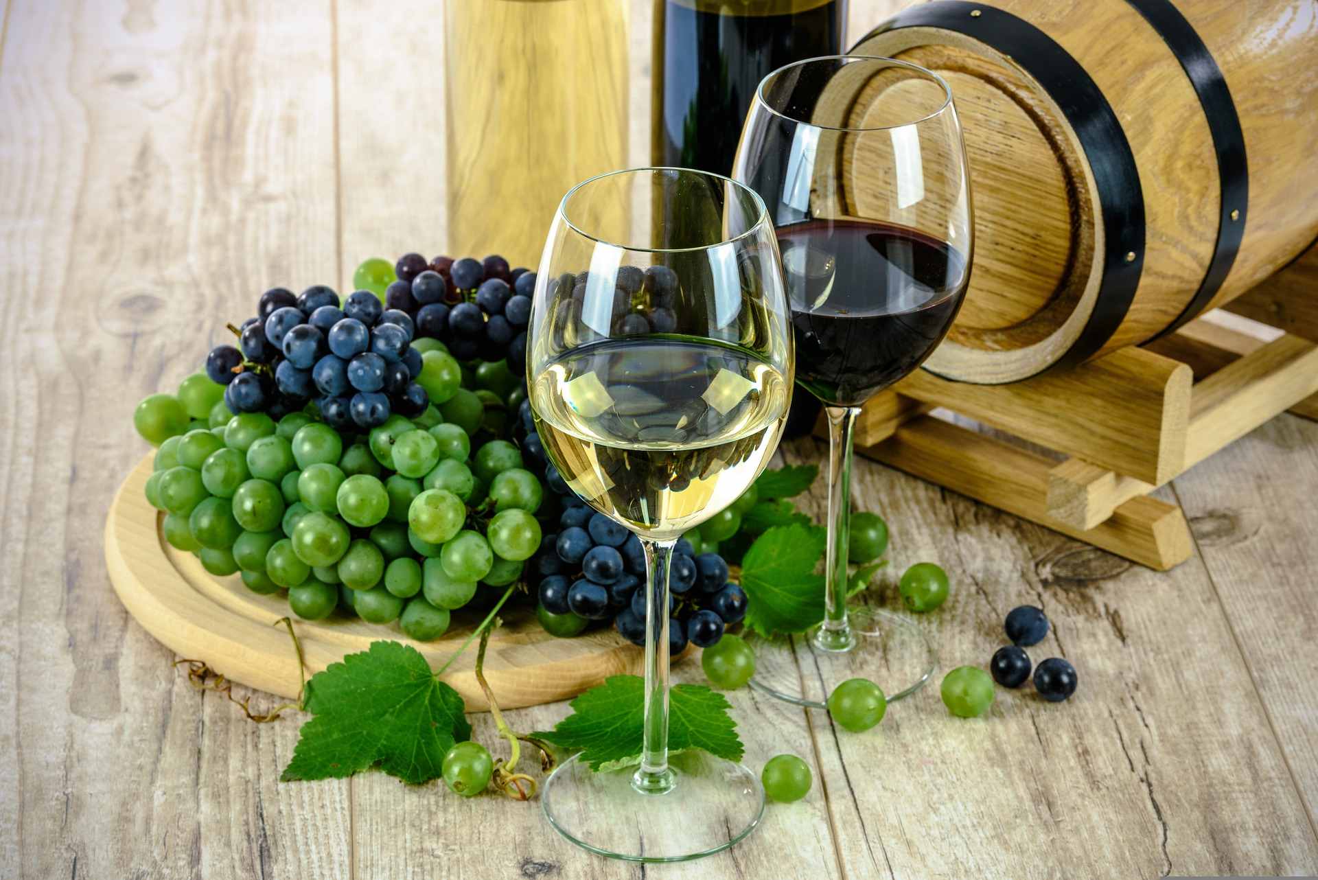 Organic Wine Portal